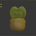 Heart Shaped Green Succulent Plant in Brown Clay Pot with Simple Gray Background