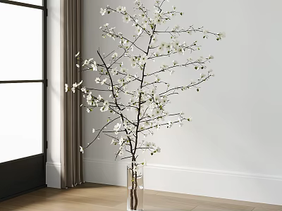 Transparent Glass Vase With White Flowering Branches Against White Wall And Wooden Floor 3d model
