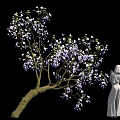 Blooming Tree With Purple White Flowers And Standing White Statue Figure
