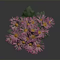 Pink Flowering Plant With Green Leaves Vibrant Petals And Gray Background