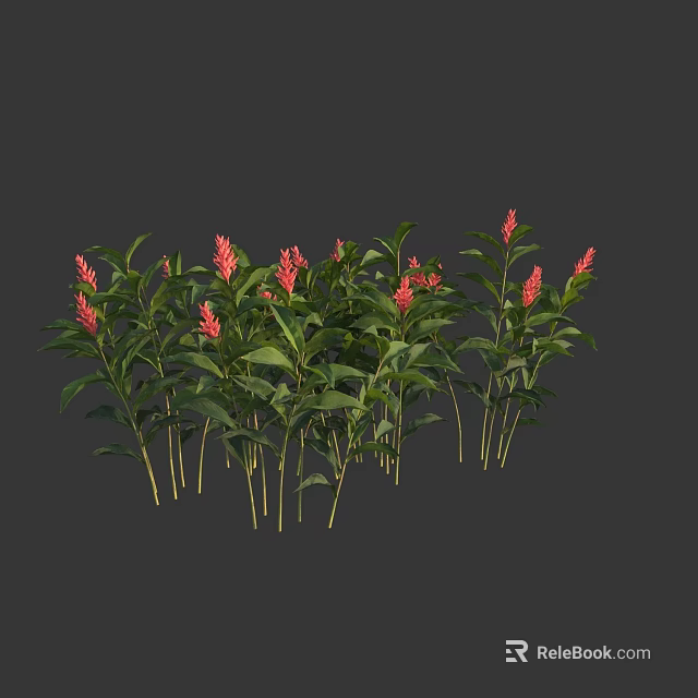 Vibrant Red Flowering Plants With Lush Green Leaves In Garden Arrangement 3d model 