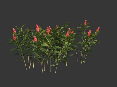 Vibrant Red Flowering Plants With Lush Green Leaves In Garden Arrangement 3d model