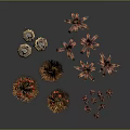 Unique Decorative Plants With Brown Stems And Red Fruits For Artistic
