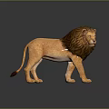 Realistic Lion Statue With Detailed Mane Standing On Reflective Dark Surface 3d model