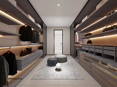 Modern Closet Design with Built in Shelves Hanging Clothes Bags Area Rug and Ottomans 3d model