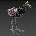 Aquatic Bird With Black Body Red Wings Yellow Beak And Long Legs Standing On Grass