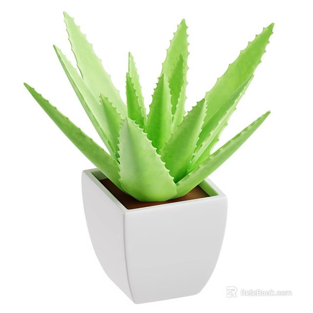 Green Aloe Vera Plant in White Square Pot with Brown Soil and Healthy Leaves 3d model 