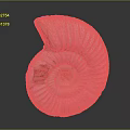 Modern Conch Bone Snail Field Snail 3d model