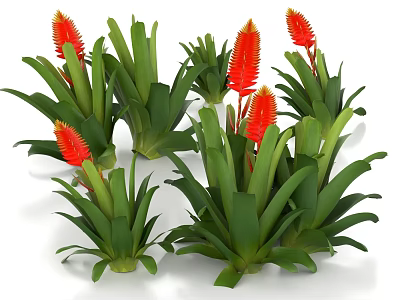 Beautiful Potted Bonsai Plants With Red Flowers And Green Leaves 3d model