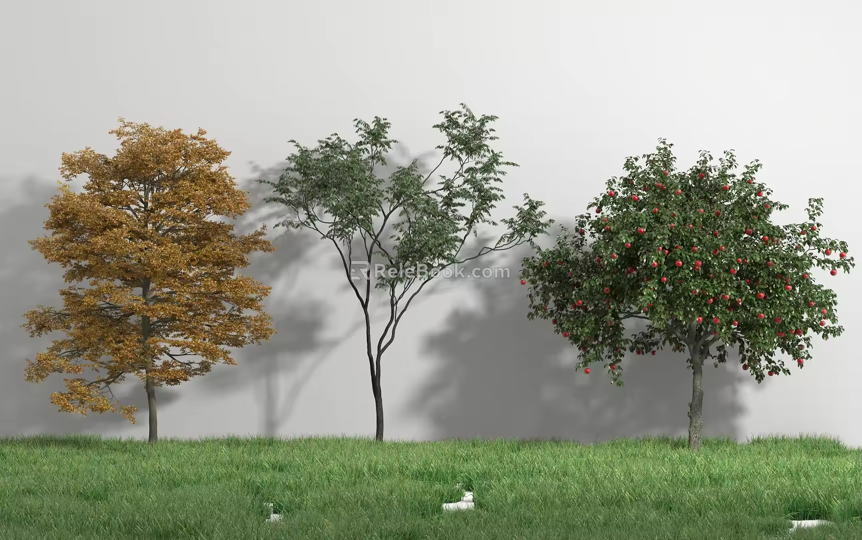 landscape tree shrub tree pond bamboo 3d model