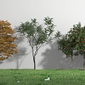 landscape tree shrub tree tree pond bamboo 3d model