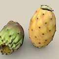 Fresh Yellow And Red Prickly Pear Fruits With Prickles On Neutral Background