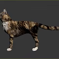Standing Tabby And White Cat With Yellow Eyes On Smooth Gray Surface