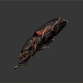 Dark Brown Beetle With Red Legs And Antennae On Dark Background