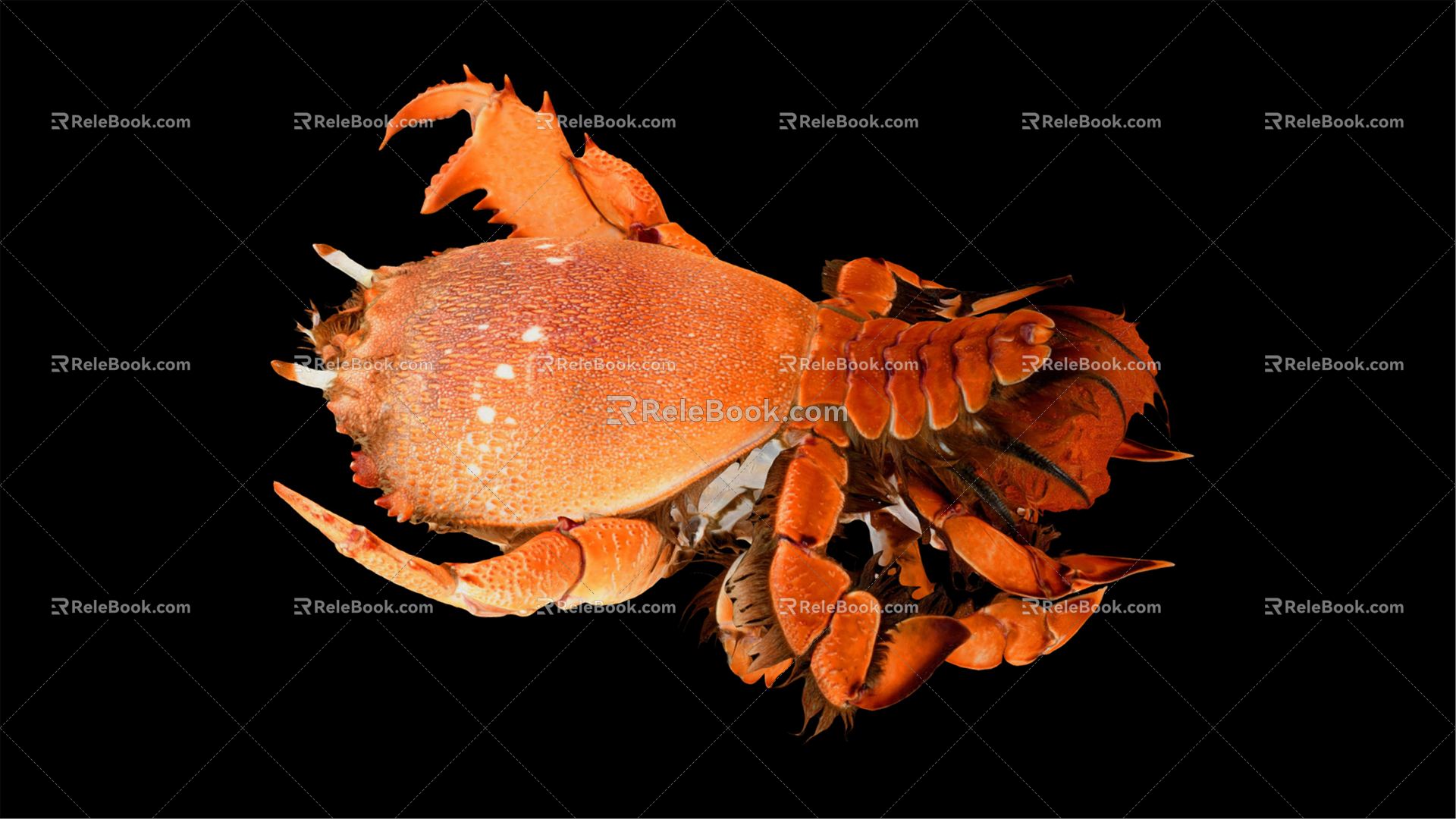 Modern Crab 3d model