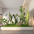 Modern Indoor Landscape With Cactus Succulents And Large Planter In Bright Room