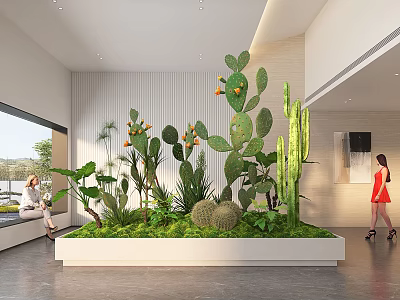 Modern Indoor Landscape With Cactus Succulents And Large Planter In Bright Room 3d model