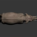 Gray Elephant Standing Against Dark Background With Long Tusks 3D Rendering