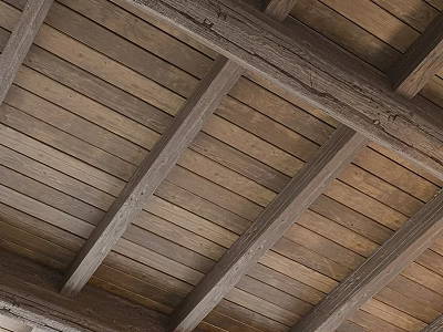 Modern Other Ceiling Old Beam Barn 3d model