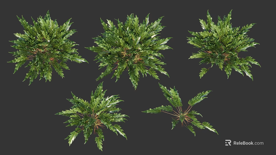 Different Types Of Green Shrubs With Lush Foliage And Varied Leaf Shapes 3d model 