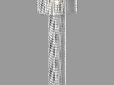 Modern Mesh Design Floor Lamp With Sleek Pole And Shade For Home Decor 3d model