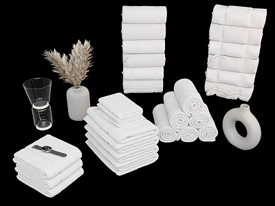 Fabric Toilet Towels 3d model