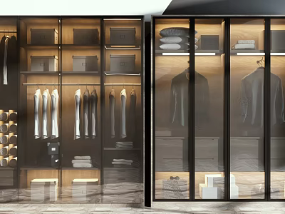 Modern Wardrobe with Glass Doors LED Lighting and Layered Storage Compartments 3d model