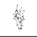 Delicate Wildflowers Featuring Green Foliage And Pink Spikes On Slender Stems