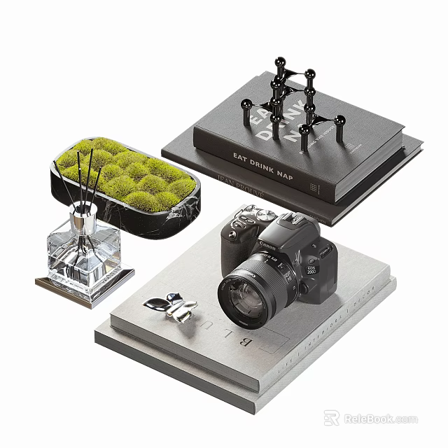 Elegant Decorative Ornament Set With Aromatherapy Diffuser Moss Decoration Camera Model Keychain And Books 3d model 
