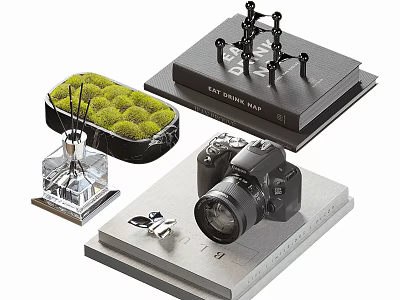 Elegant Decorative Ornament Set With Aromatherapy Diffuser Moss Decoration Camera Model Keychain And Books 3d model