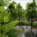 Trees Forest Scenes Trees Shrubs Big Trees Green Plant Trunks 3d model