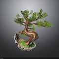 Artistic Bonsai Pine Tree With Curved Trunk Green Foliage And Rock Base