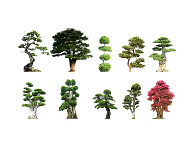 Diverse Arbor Trees with Unique Shapes and Foliage for Landscape Design 3d model