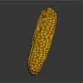 Fresh Yellow Corn Cob With Plump Juicy Kernels On Gray Background
