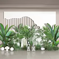 Indoor Plant Arrangement with Various Green Plants White Geometric Wall and Decorative Spheres Lanterns