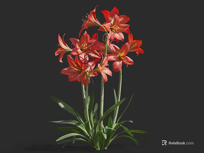 Blooming Red Flowers With Green Stems And Leaves Against Black Background 3d model 