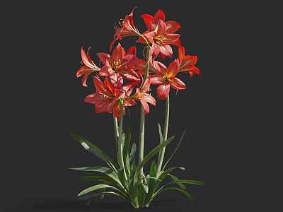 Blooming Red Flowers With Green Stems And Leaves Against Black Background 3d model