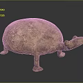 Golden Turtle Shaped Furniture Decorative Accent With Intricate Carved Patterns For Home Decor