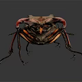 Stag Beetle With Large Red Mandibles And Brown Body On Dark Background Close Up View