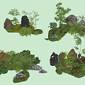 Plant Combination With Rocks Ferns Shrubs And Lush Green Vegetation