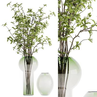 Transparent Glass Vases Holding Green Foliage and Small White Flowers for Home Decor 3d model