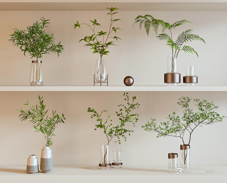Minimalist Two White Shelves With Glass Vases And Green Leafy Plants 3d model 