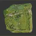 Natural Landscape Aerial View With Green Grassland Trees And Water Area