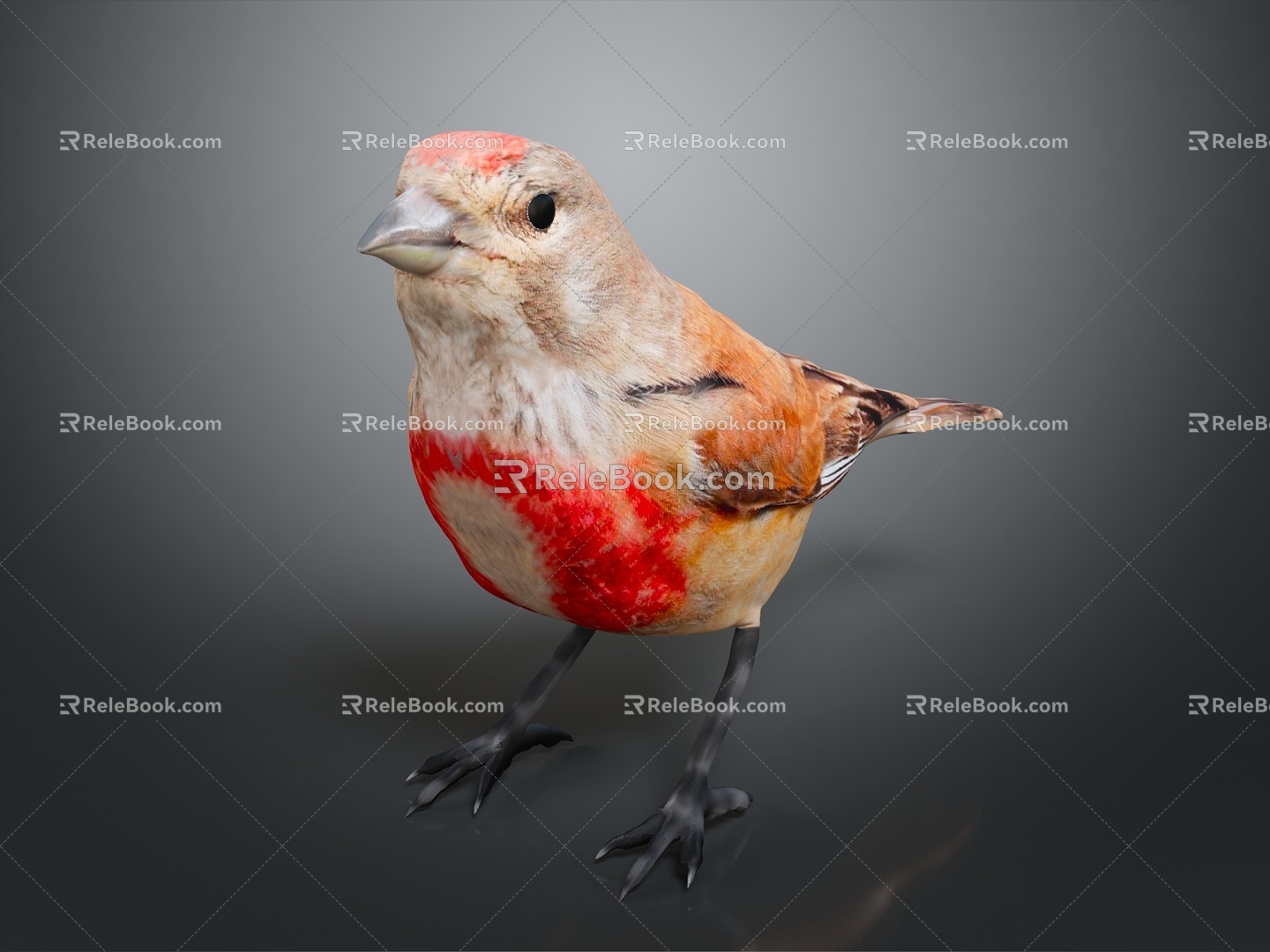 Peregrine Falcon Sparrow Pigeon Wingbird Pearl Bird Hummingbird Flamingbird Bird Bird Animal 3d model