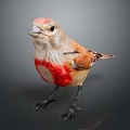 Standing Decorative Bird Figurine With Red Chest And Black Legs For Home Decor