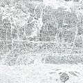 Microtopography Of Rocky Cliff With Lush Vines And Natural Cracks