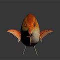 Vibrant Orange and White Fish with Scales Fins Tail on Dark Background and Reflection