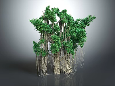 Lush Banyan Tree With Thick Trunk Long Aerial Roots And Vibrant Green Leaves 3d model
