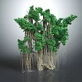 Lush Banyan Tree With Thick Trunk Long Aerial Roots And Vibrant Green Leaves