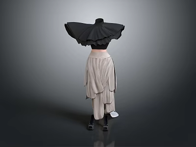 Black Top With Wide Shawl Design And Beige Layered Long Skirt Fashion Outfit 3d model